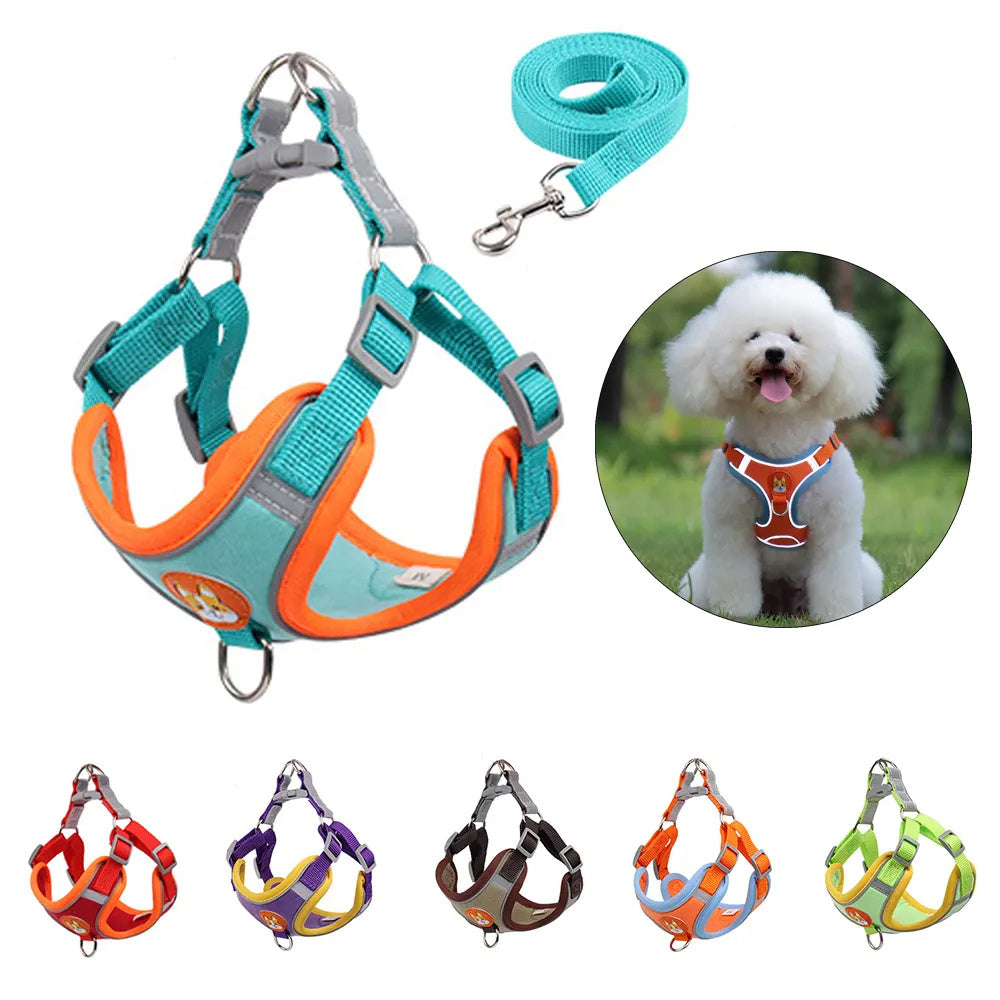 Harnesses & Leashes