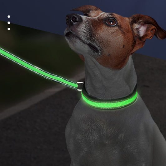 LED Luminous Waterproof Nylon Mesh Pet Collar with Type-C Charging Port – Durable & Visible